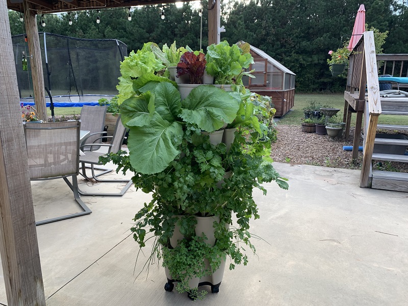 How to Grow in a Greenstalk Vertical Planter The Beginner's Garden