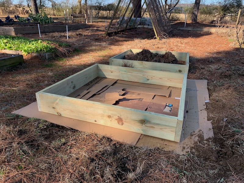 Lining Raised Bed with Cardboard The Beginner's Garden