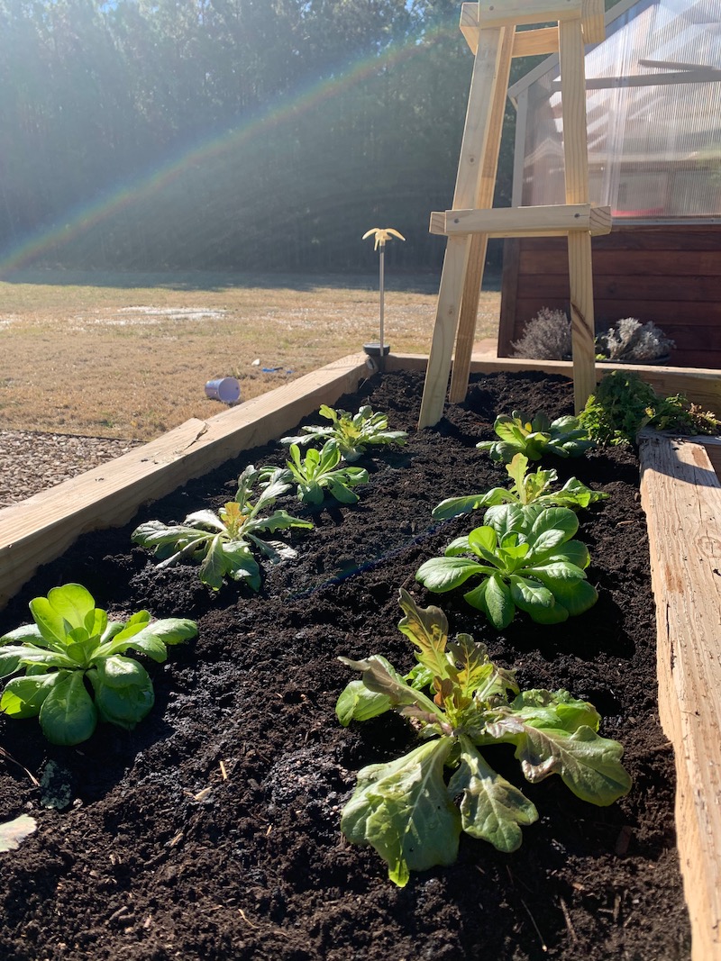 4 Tips in Raised Garden Bed Soil Preparation The Beginner's Garden