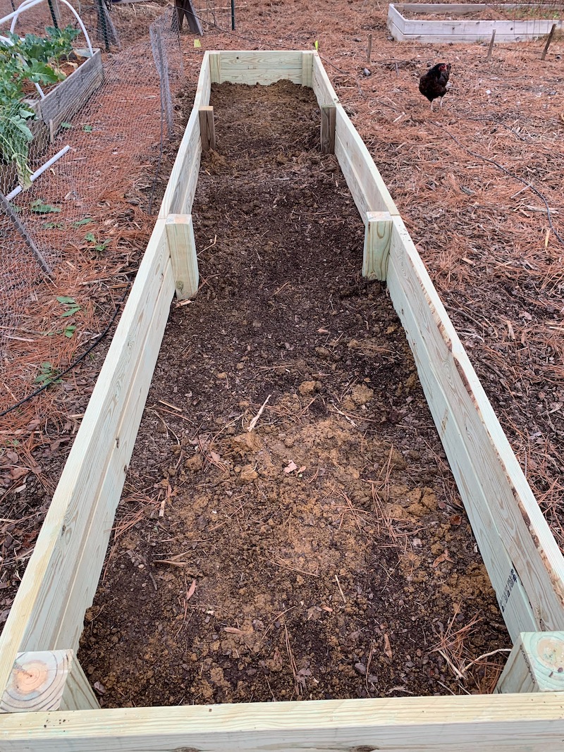 What do I Put on the Bottom of Raised Beds? The Beginner's Garden