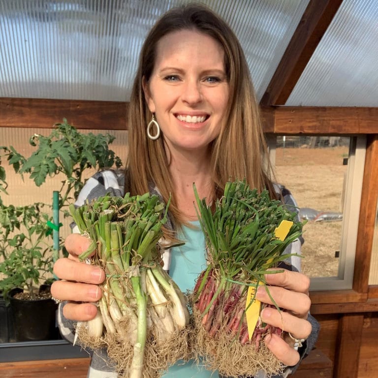 10 Onion Growing Problems and How to Prevent Them The Beginner's Garden