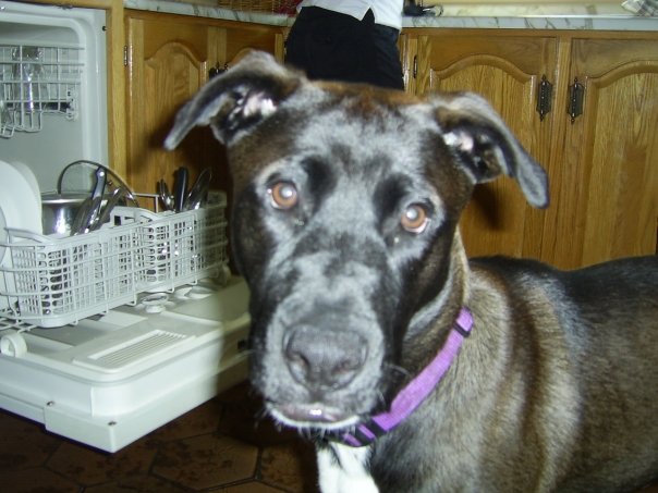30 Days on a Greyhound Part 2 Joy Adventures