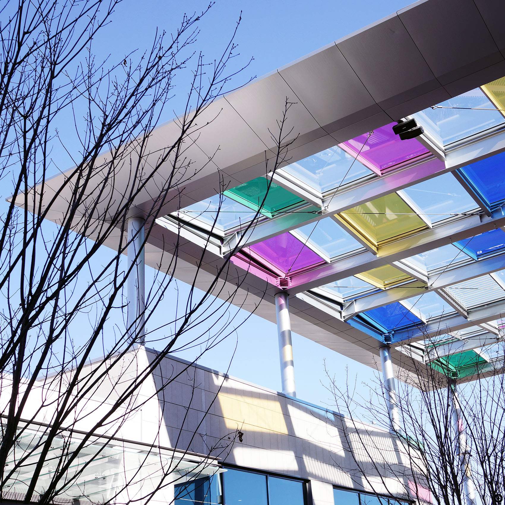 polygone riviera lacoste