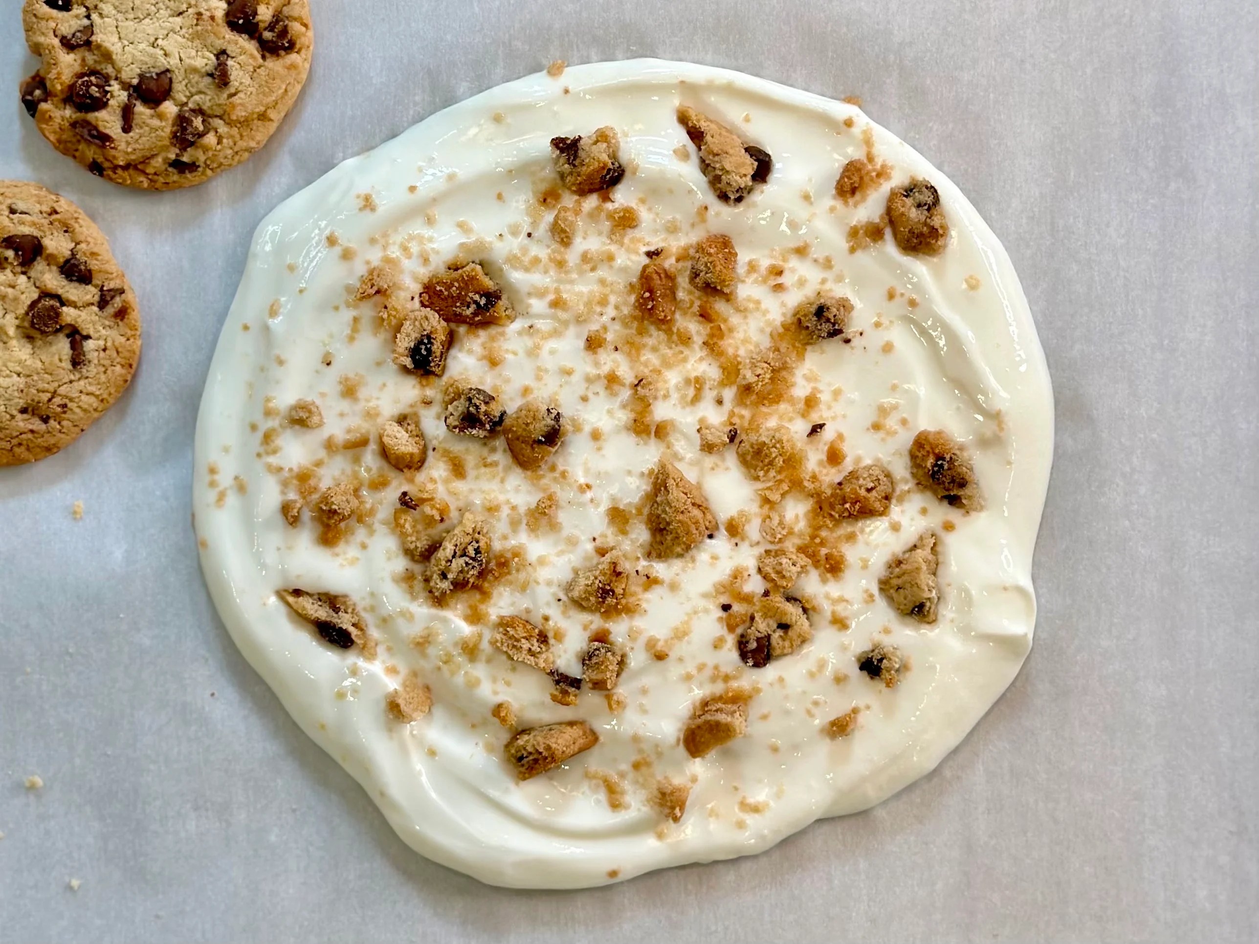 Frozen Yogurt Chocolate Chip Cookie Joy Bauer