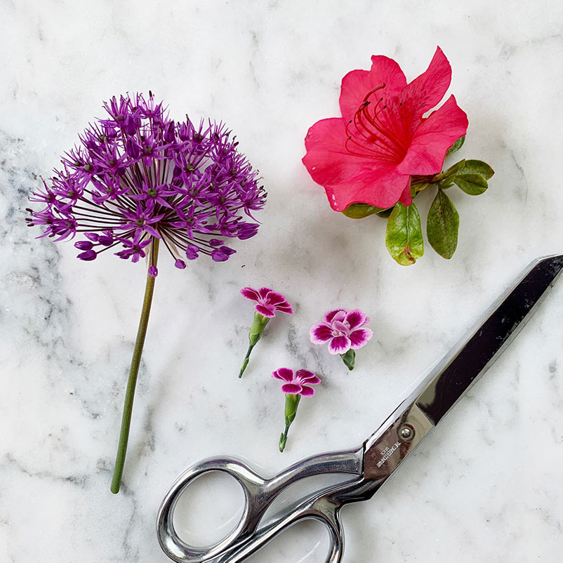 How to Press Flowers Quickly Joyberry Studios