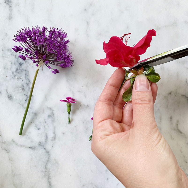 How to Press Flowers Quickly Joyberry Studios