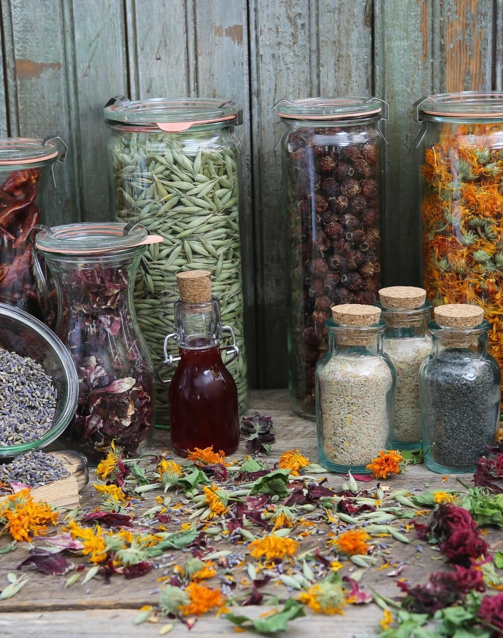 How to Harvest and Dry Herbs for Food, Teas and Medicine Joybilee