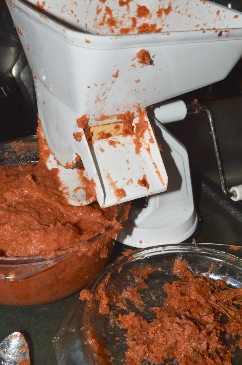 How to Make Crabapple Fruit Leather