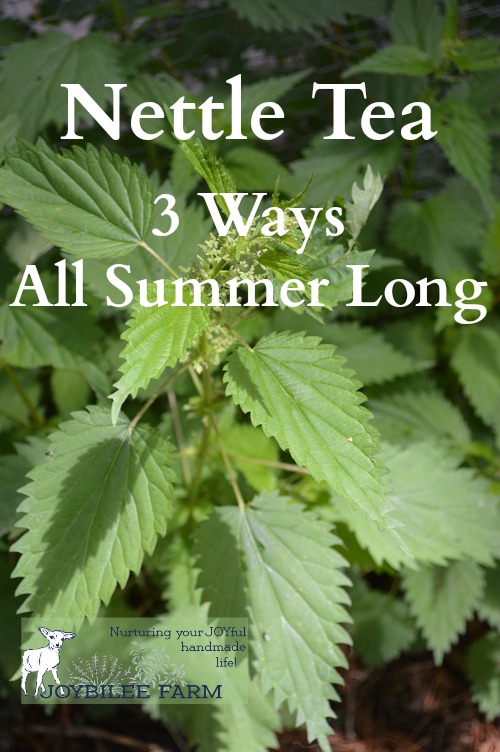 Nettle Tea Three Ways Joybilee® Farm DIY Herbs Gardening