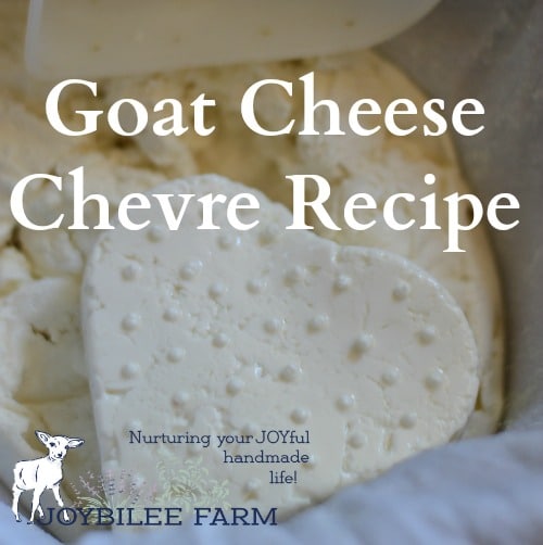 Goat Cheese Chevre Recipe DIY Herbs with Joybilee Farm