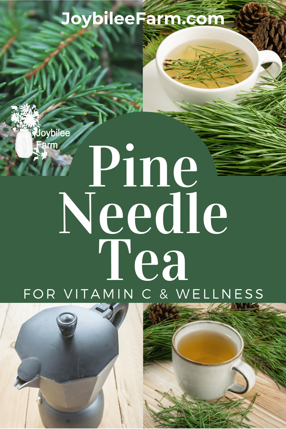 How to Make Pine Needle Tea for Vitamin C and Wellness