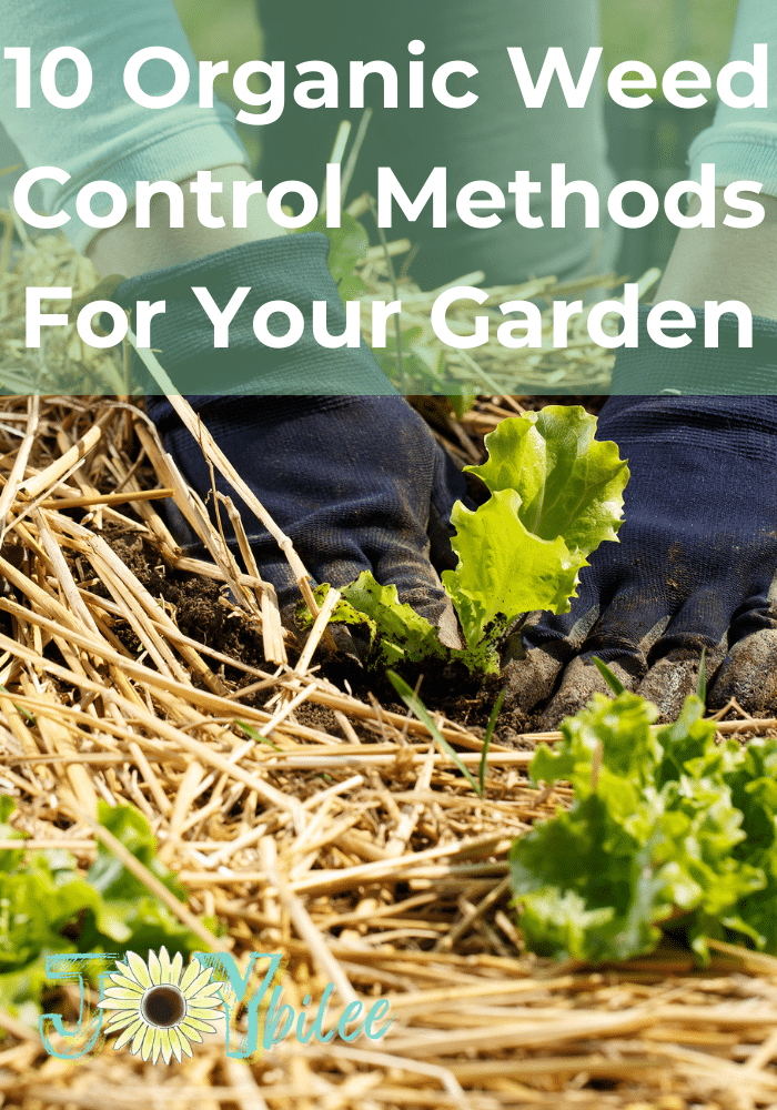 10 Organic Weed Control Methods For Your Garden Joybilee Farm