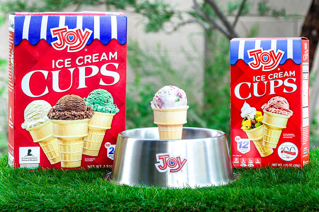 The Joy Canine Cone Joy Cone