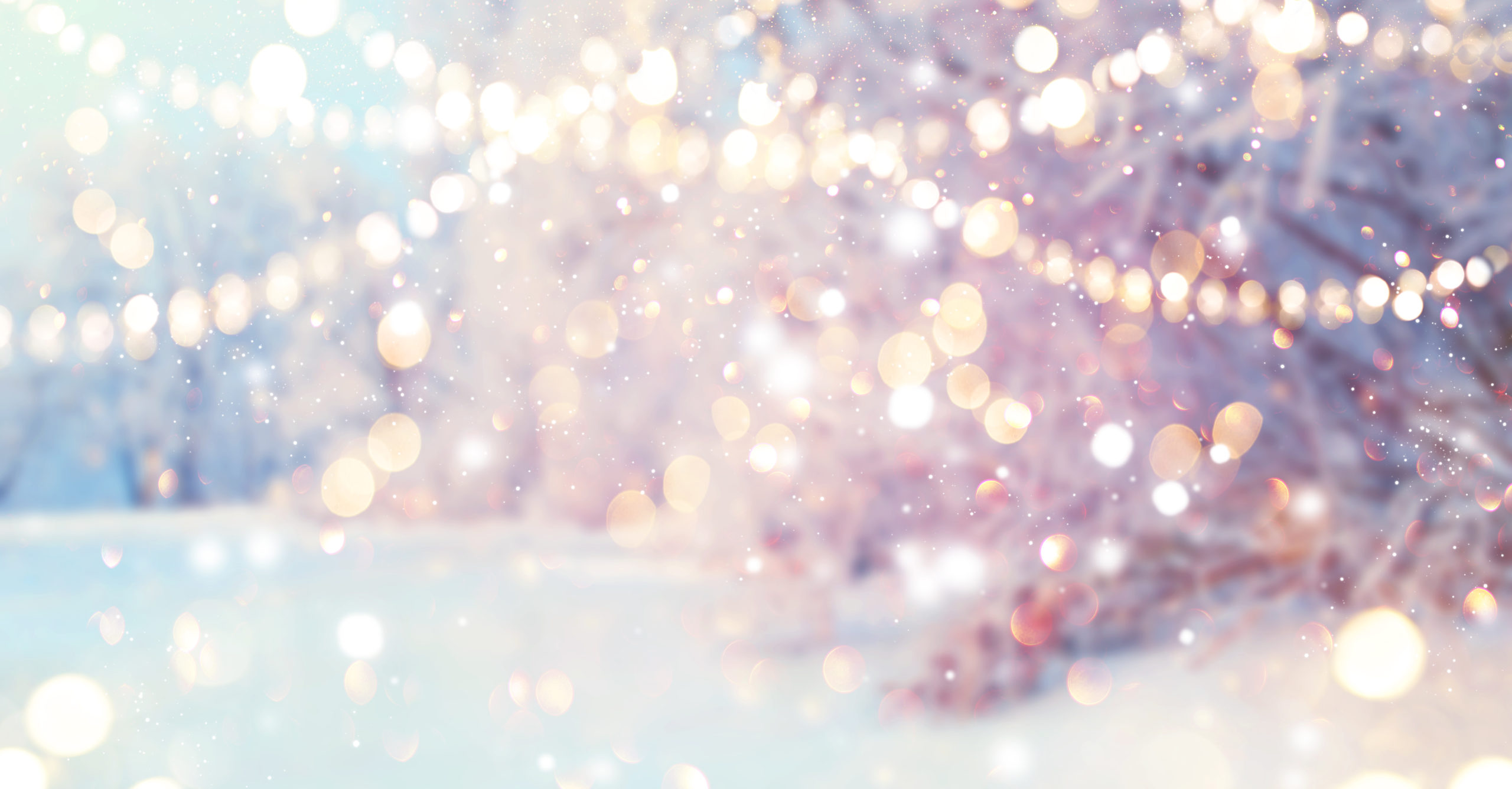 Christmas blurred background. Xmas trees with snow decorated with