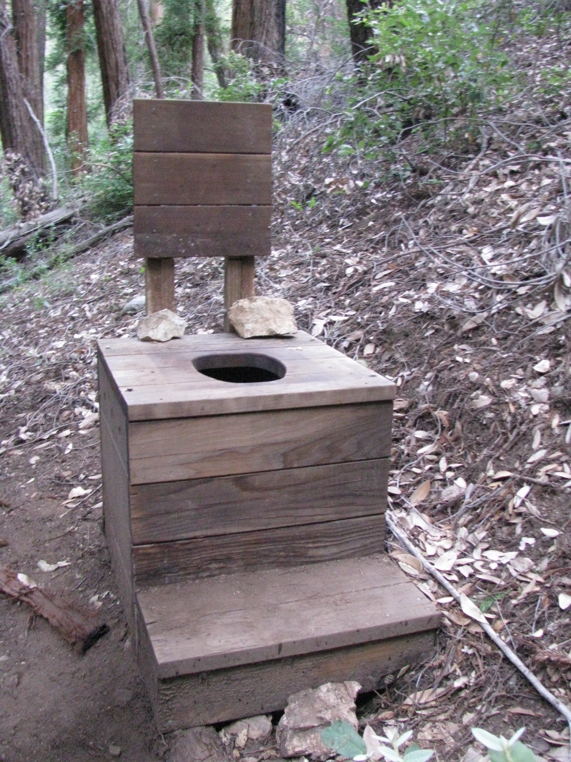 Oh the places you’ll go. Part 5. Finding Joy in Marriage