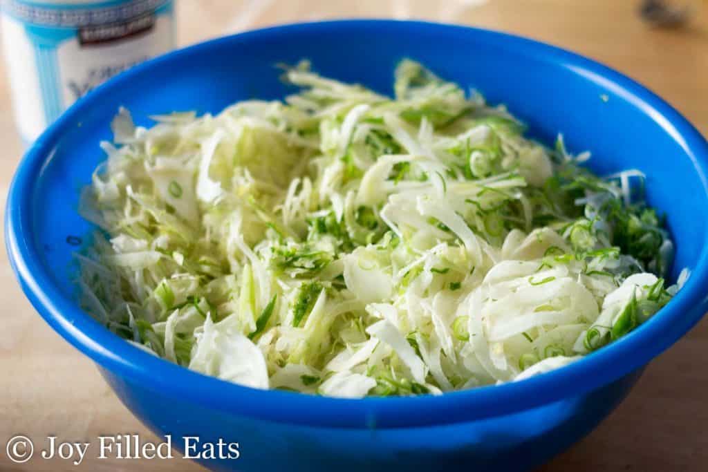 Easy Fennel Coleslaw Low Carb, Grain Free, THM S Joy Filled Eats
