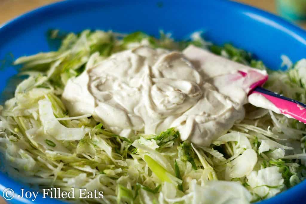 Easy Fennel Coleslaw Low Carb, Grain Free, THM S Joy Filled Eats