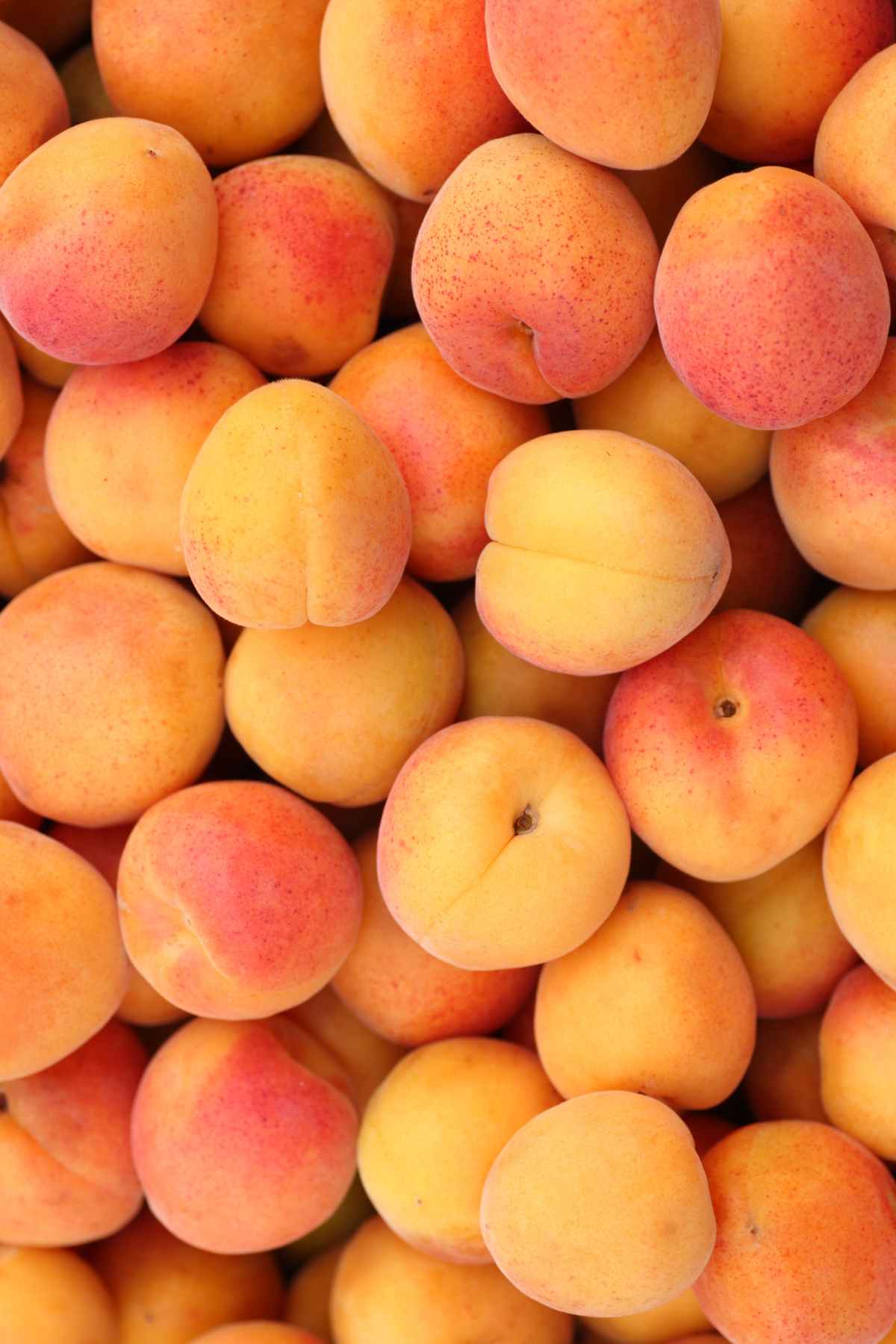 Top 6 Fruits High in Potassium and Other High Potassium Food Feel