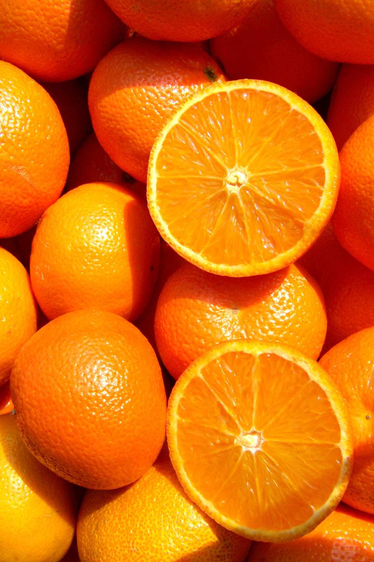 Top Vitamin B12Rich Fruits and Vegetables Good Sources of Vitamin B12