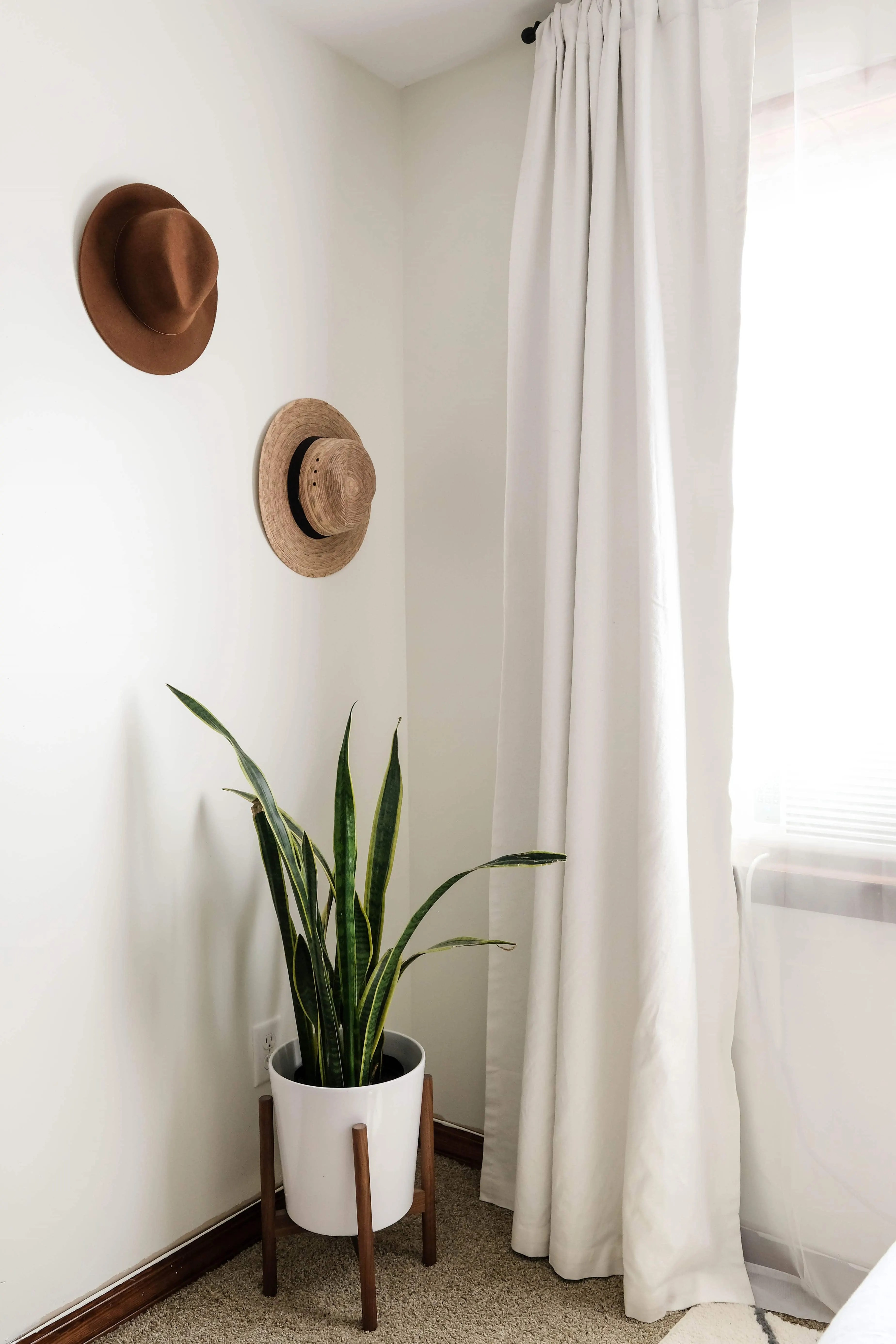 sherwin williams swiss coffee code Carry Valencia