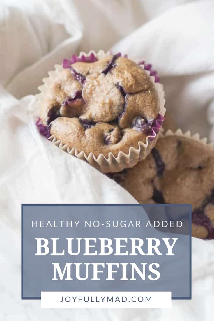Healthy No Sugar Added Blueberry Muffins Recipe