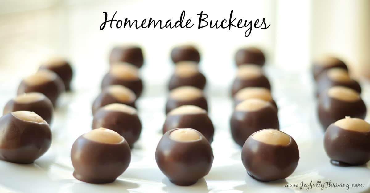 Buckeye Recipe Without Paraffin Wax Dandk Organizer