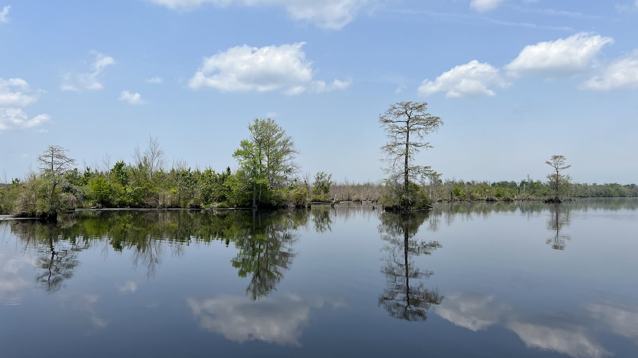 Exploring The Great Dismal Swamp