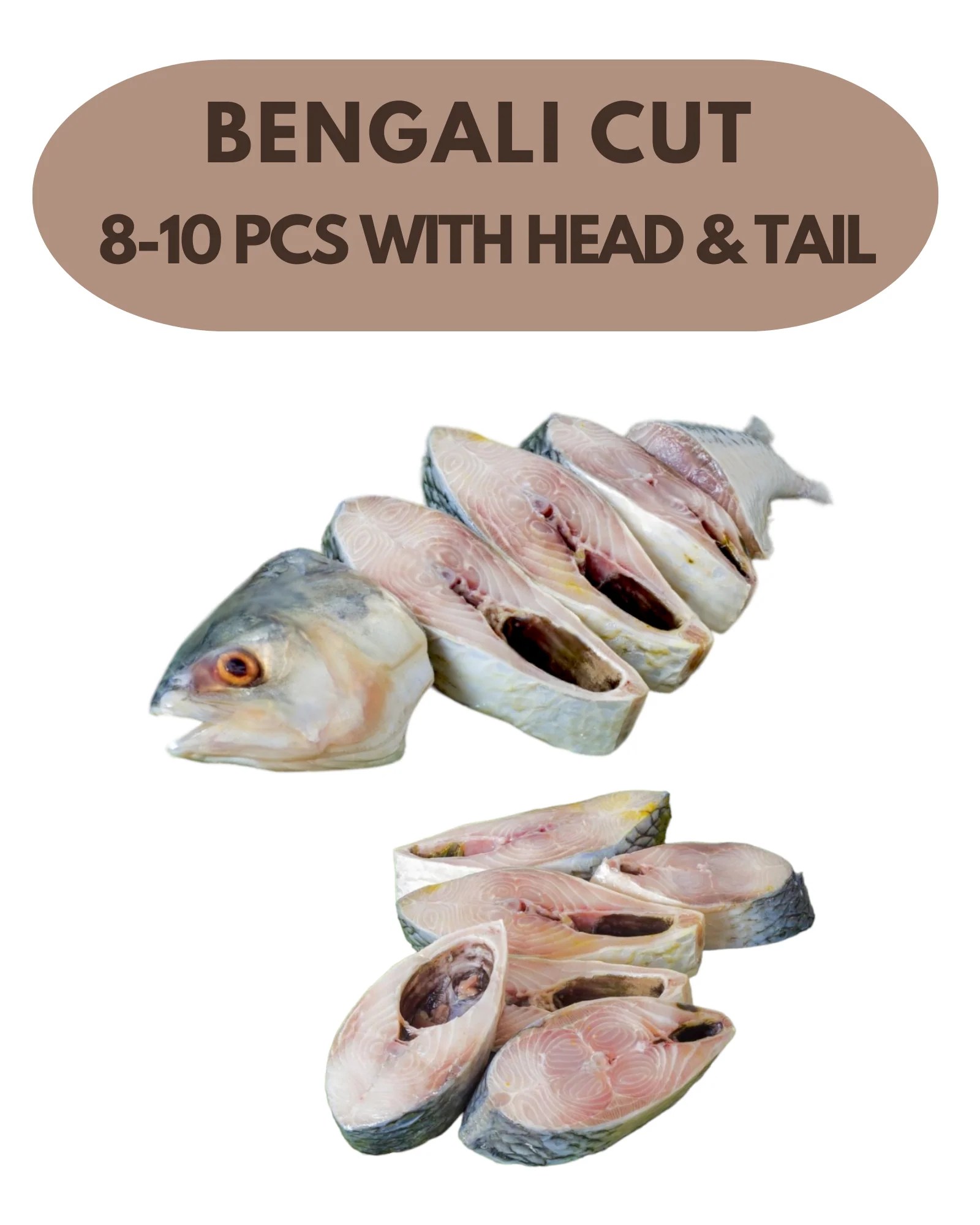 Buy Fresh Kolkata Hilsa Fish Ilish Fish Buy Online at Joynagar JOYNAGAR