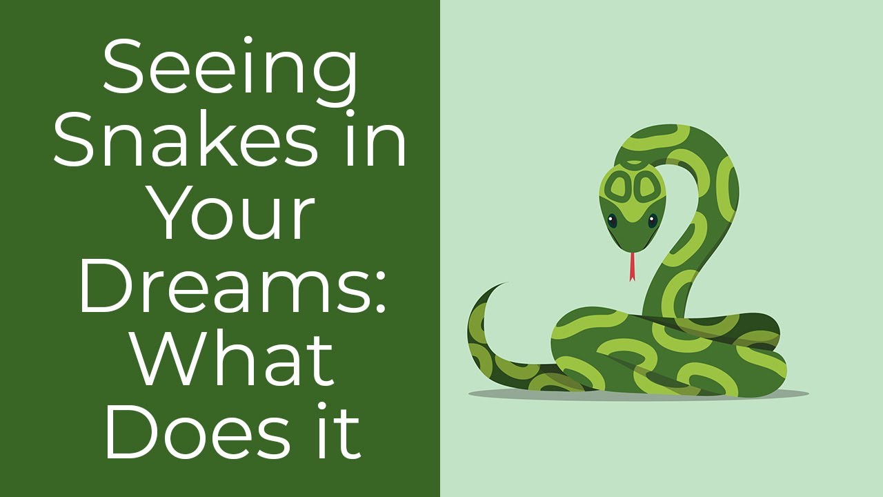 What Does Dreaming Of Snakes Mean?