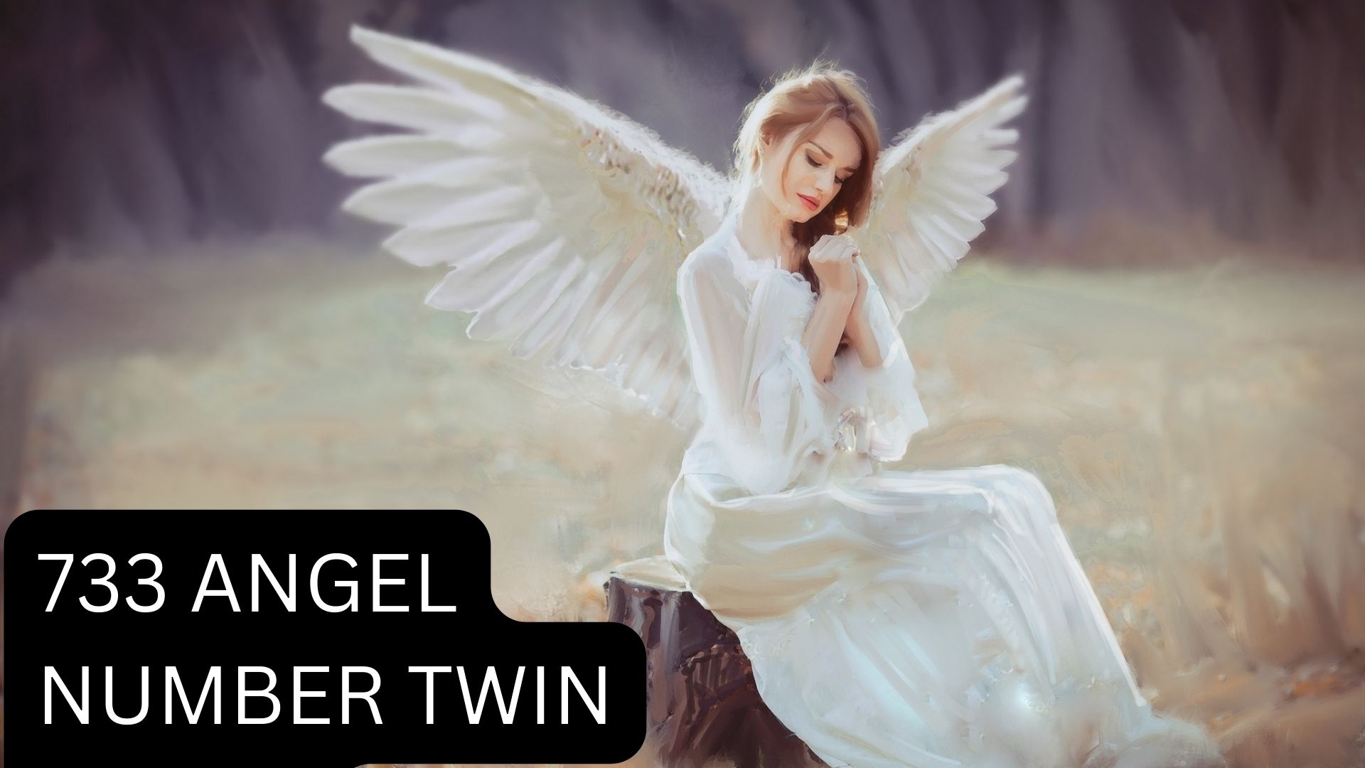 733 Angel Number Twin Flame Signifies Happiness And Life's Blessings