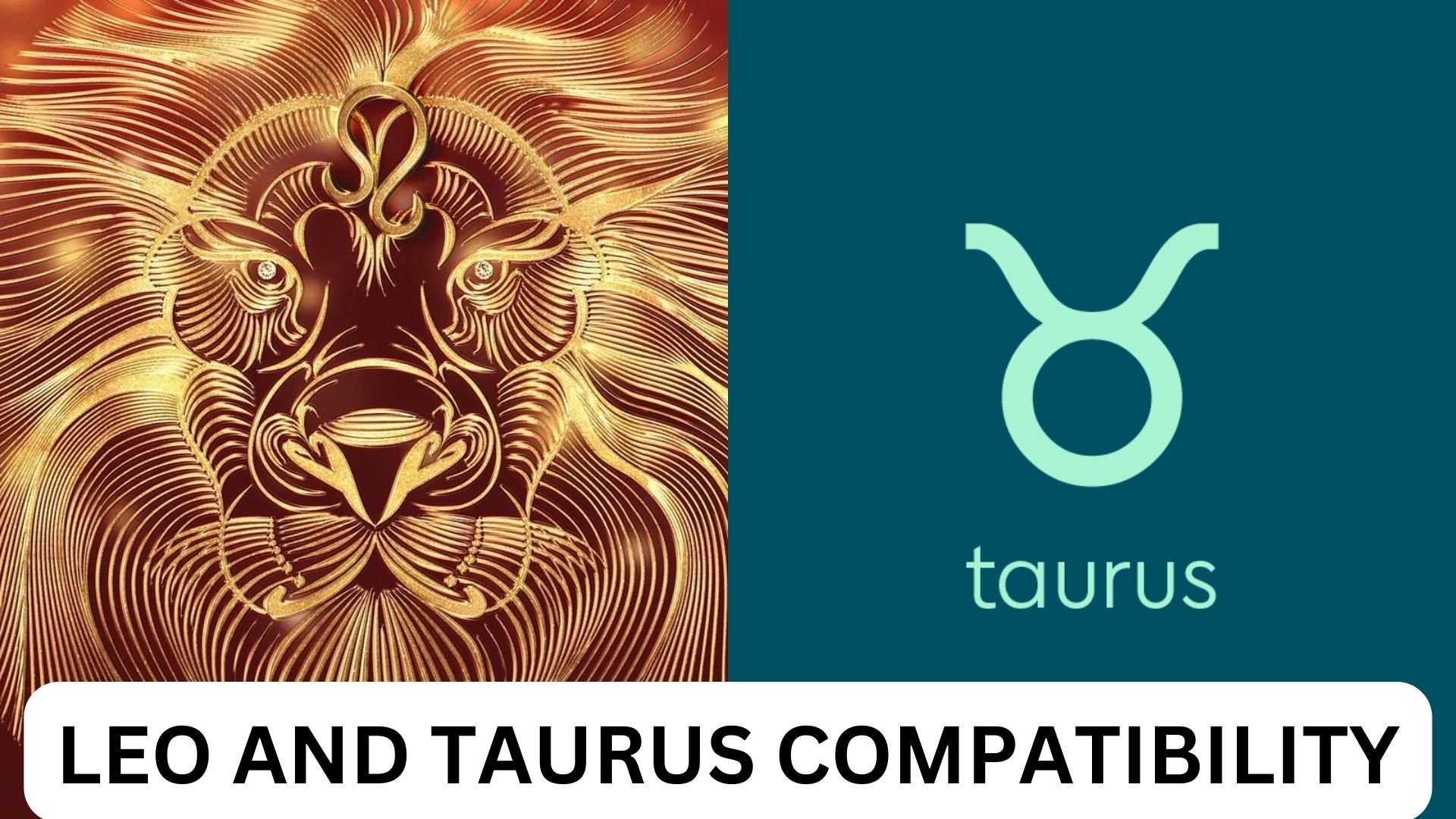 Leo And Taurus Compatibility Overbearing At Times