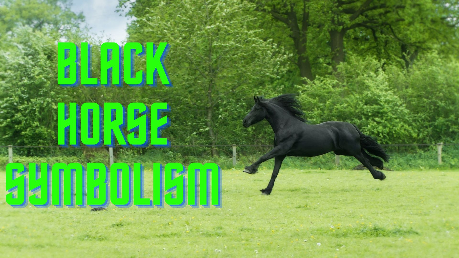 Black Horse Symbolism Ability To Obstacles