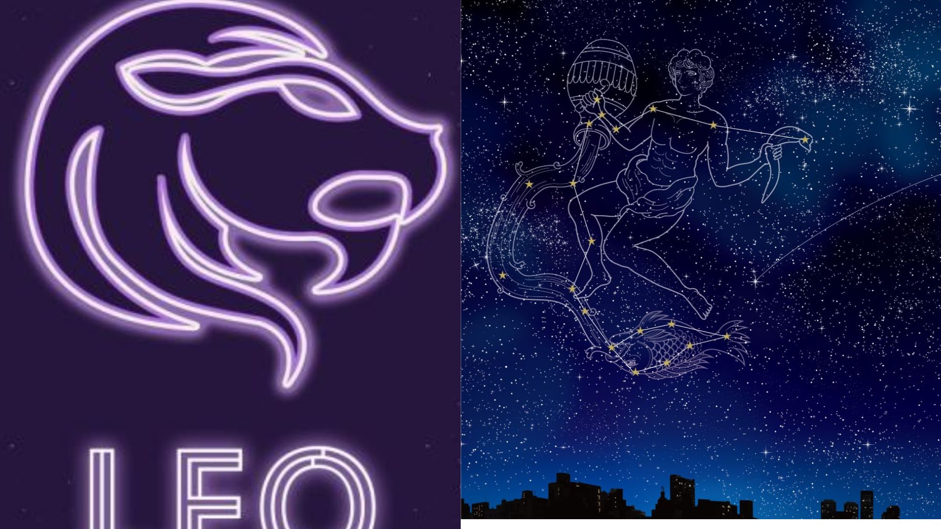 Aquarius And Leo Compatibility Exploring Their Relationship