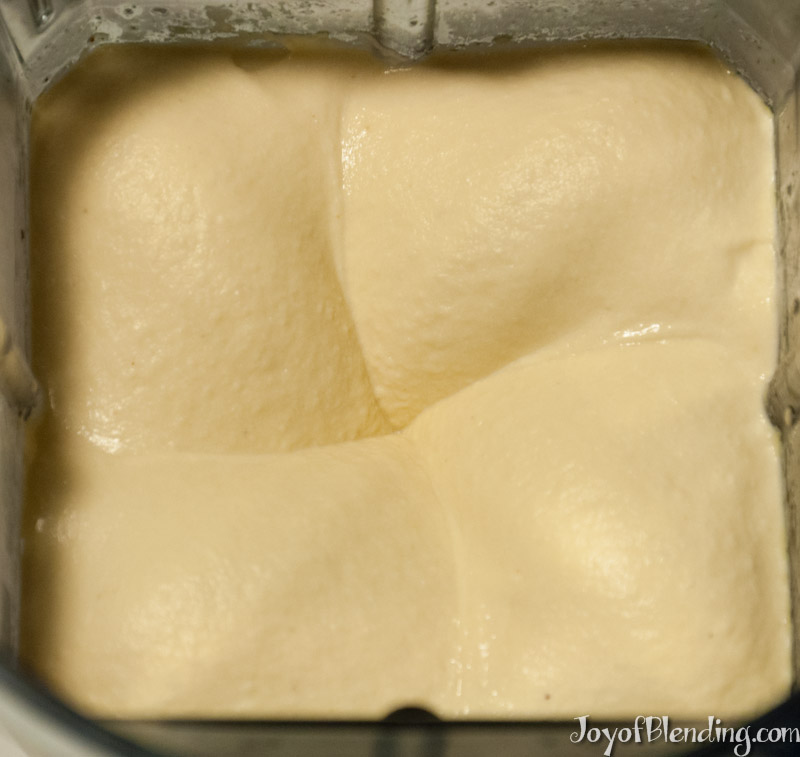 Vitamix Hummus Joy of Blending