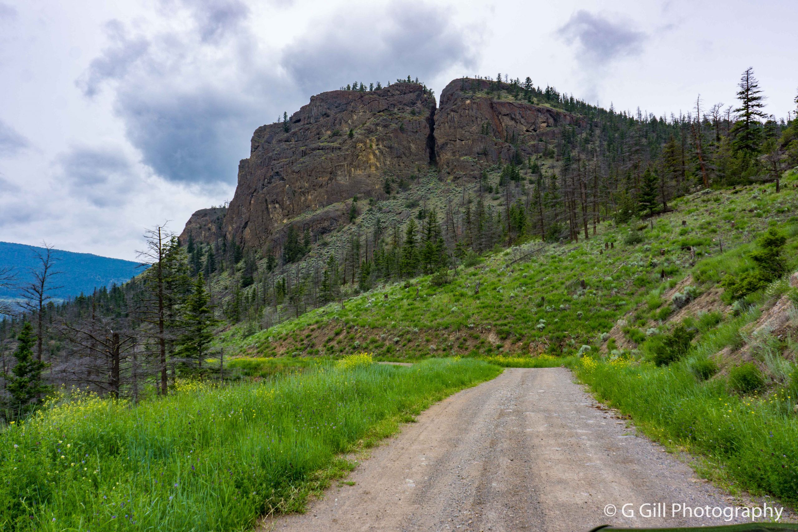 Criss Creek FSR the Joy of Exploring Backroads of BC