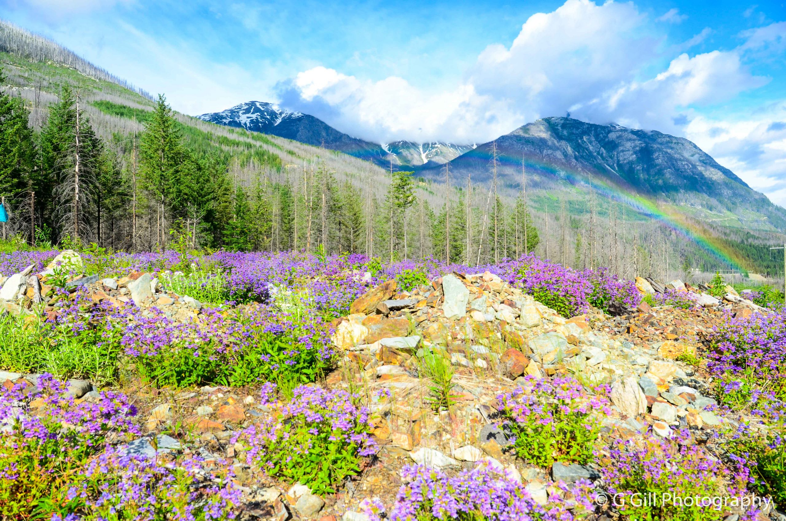 Lillooet River FSR the Joy of Exploring the Backroads of BC