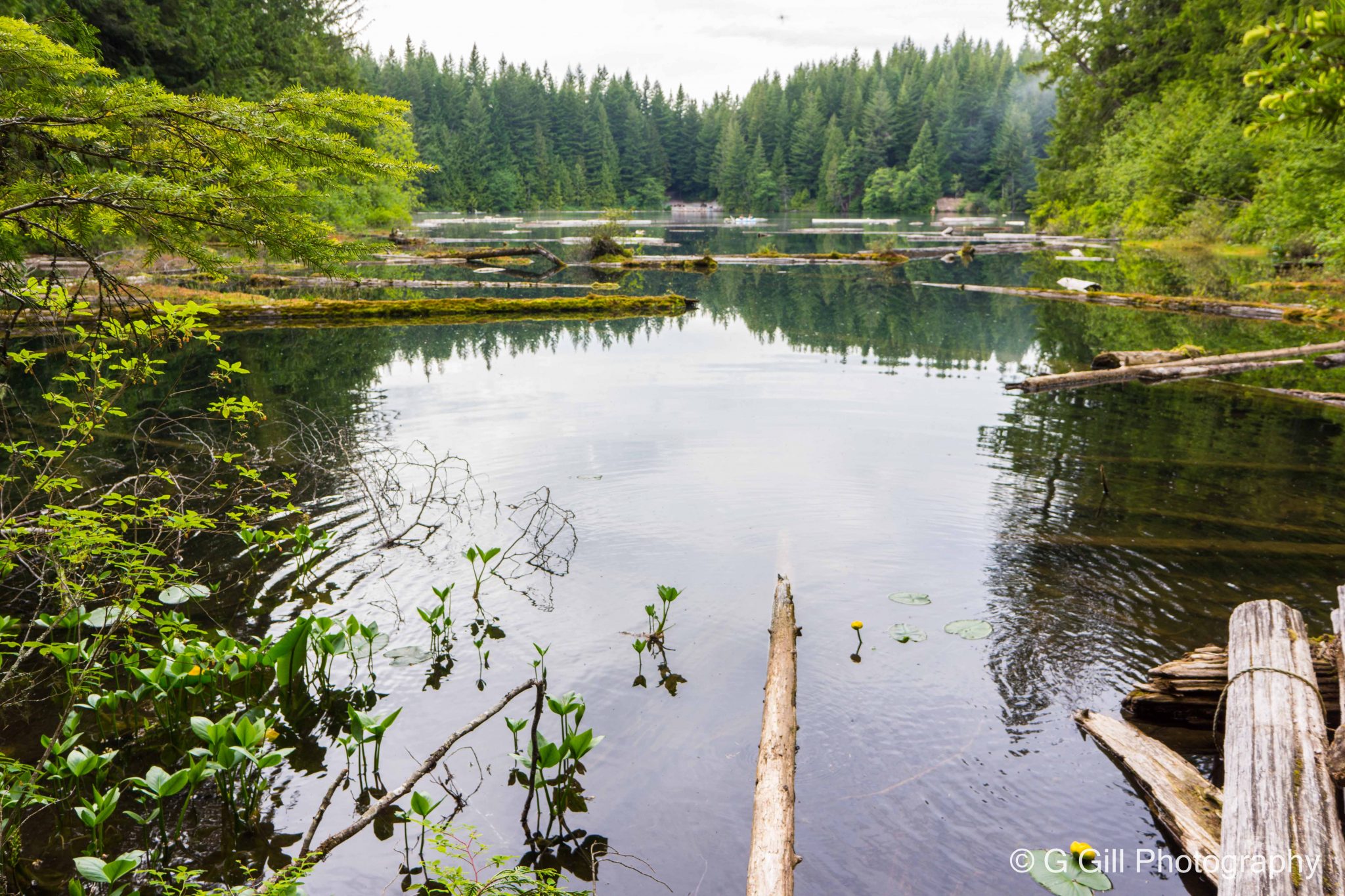Wilderness Camping at the Cat Lake, Squamish Joy of Exploring