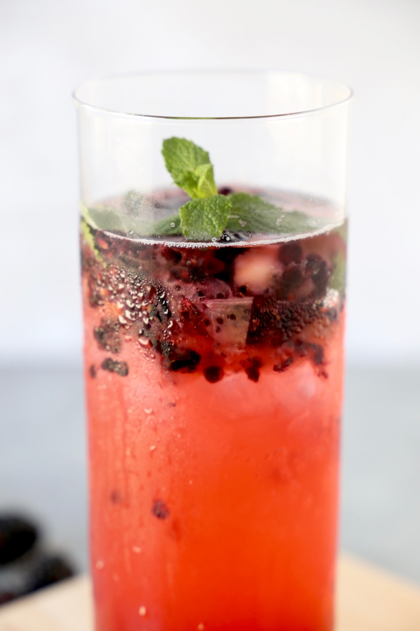 Fresh Fruit Mocktails Joy + Oliver