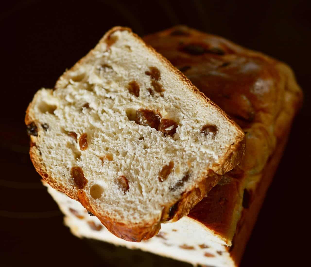 My Dog Ate Raisin Bread! Should I Be Worried? SG group