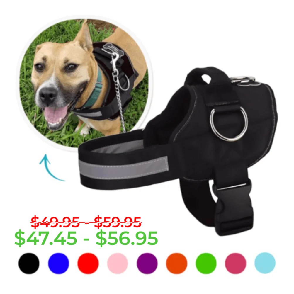 No Pull Dog Harness | Best Dog Harness | Joyride Harness