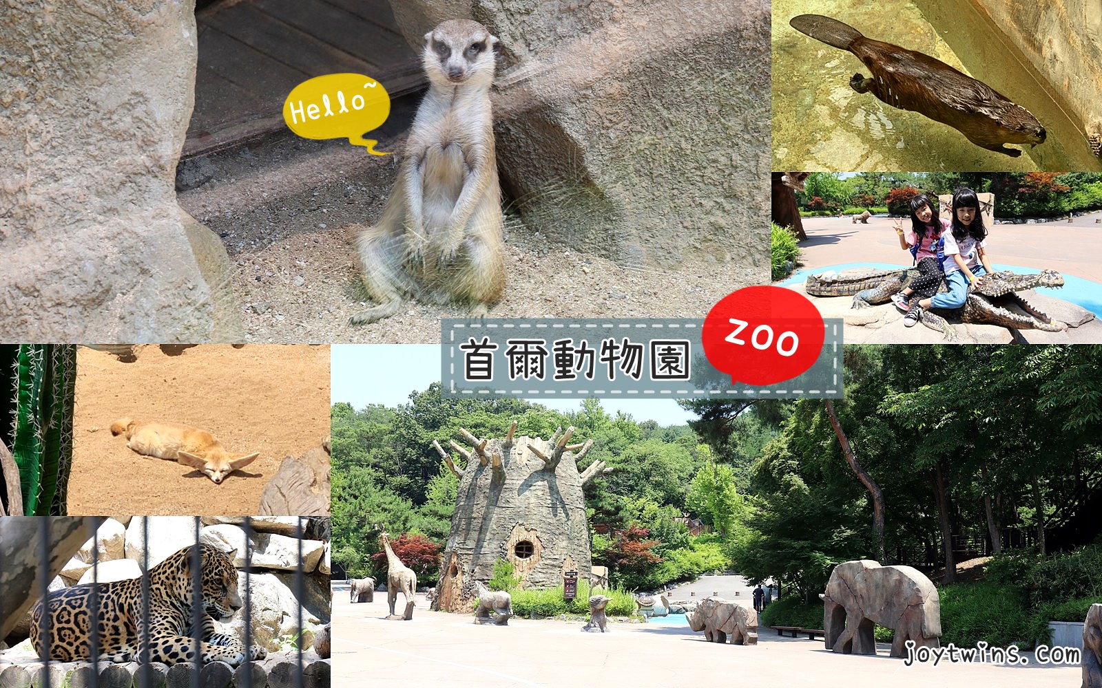 首爾動物園 天空纜車 搭地鐵就能到 與動物互動樂趣多 首爾大公園站2號出口