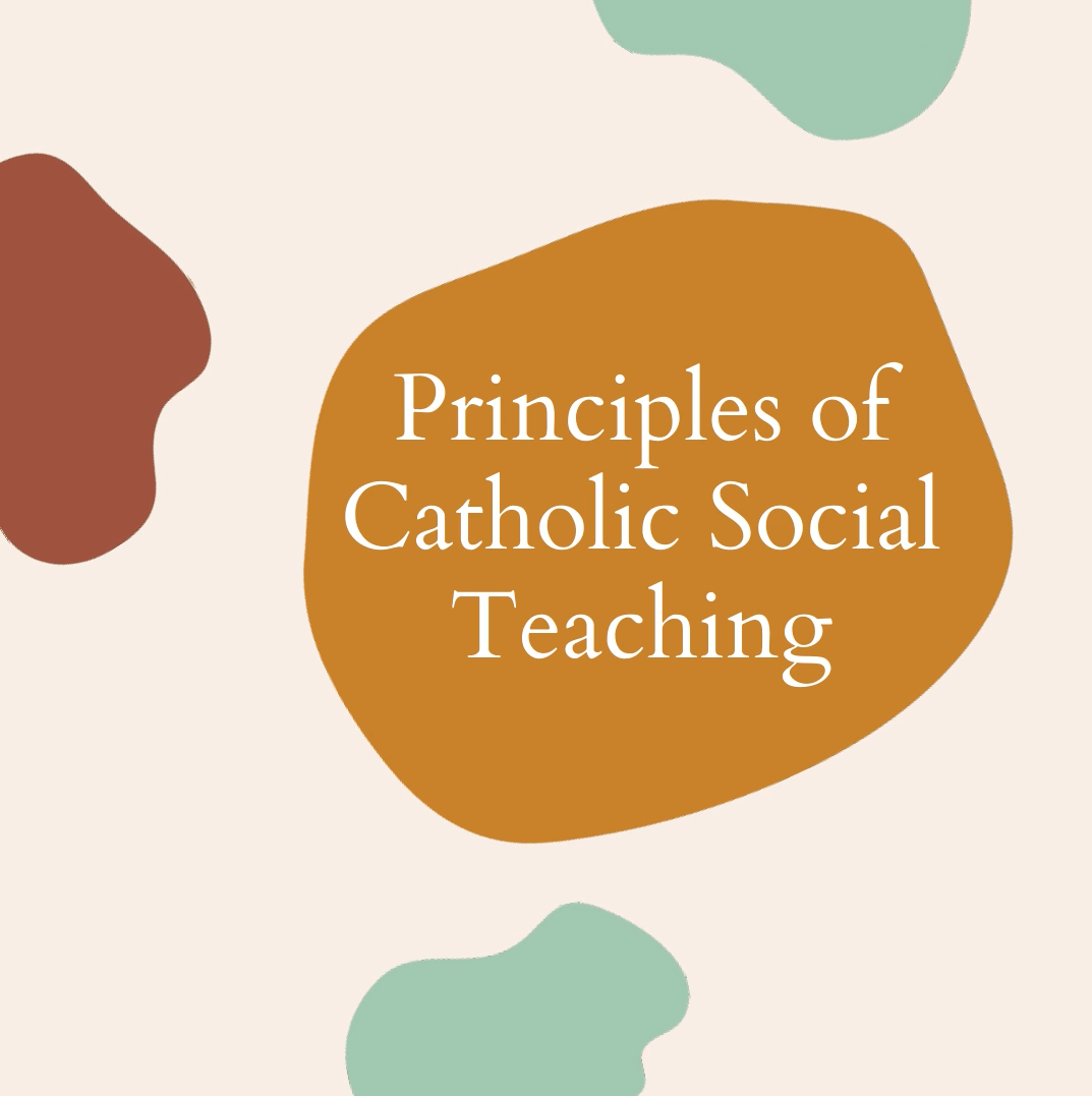 Principles of Catholic Social Teaching Justice and Peace Commission