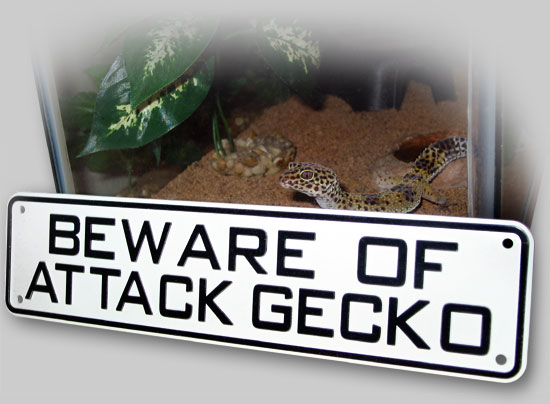 Mozilla my Leopard Gecko