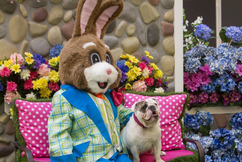 Easter Bunny Meet & Greet at MacArthur Mall Jpixx Capture Life