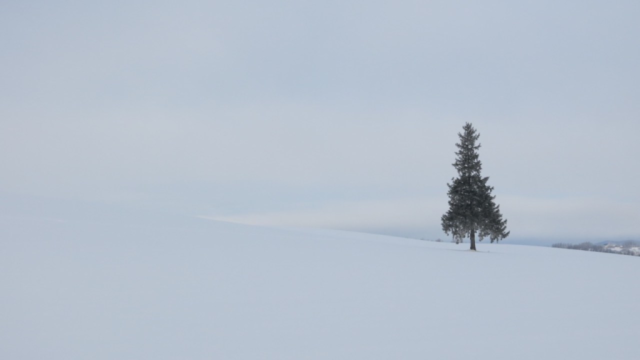 Trip To Hokkaido In 2017 Winter Part 5 Asahikawa To Takikawa