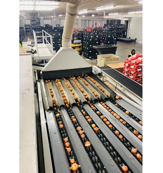 JOB FILLED Assistant Warehouse Manager Joe Produce Produce Jobs