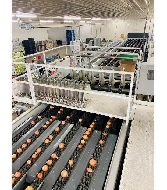 JOB FILLED Assistant Warehouse Manager Joe Produce Produce Jobs