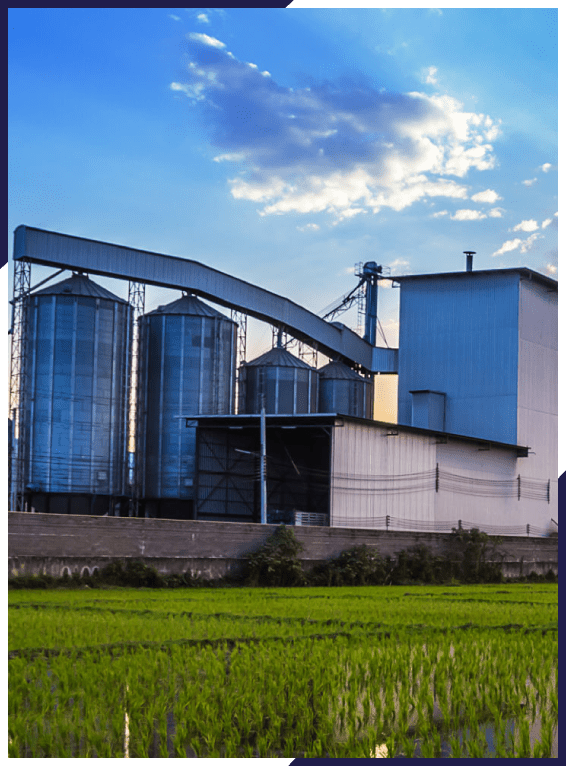 About Us JP Rice Mill