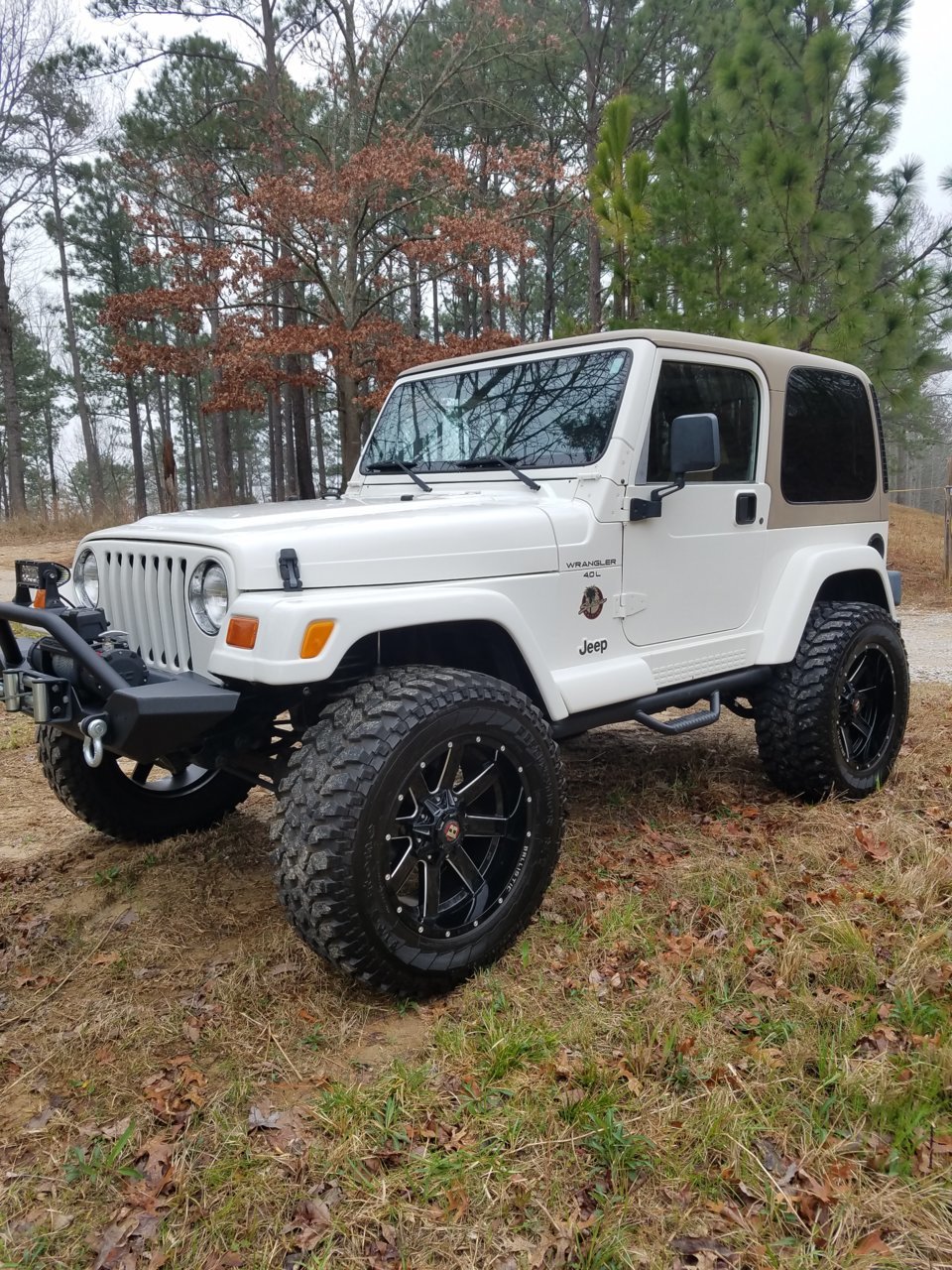 Hello from Sweet Home Alabama Forum