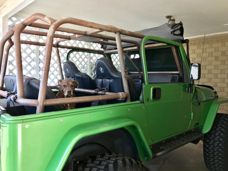 Rusted aftermarket roll cage > Awesome, painted roll cage!